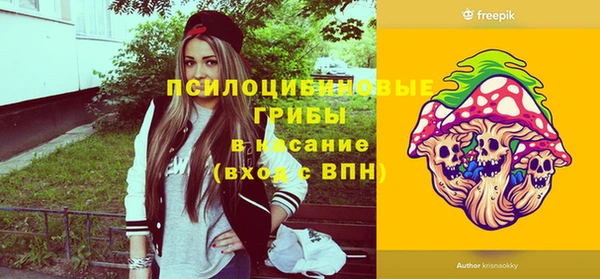 сатива Верхний Тагил