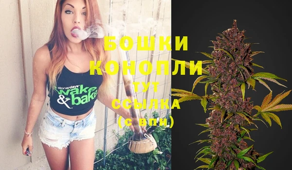 Альфа ПВП Бородино