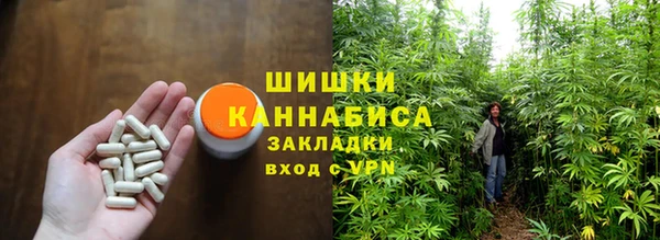 Альфа ПВП Бородино