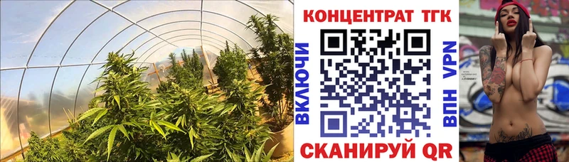 Дистиллят ТГК Wax  купить закладку  Истра 