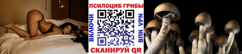 MEGA ССЫЛКА  Истра  Галлюциногенные грибы ЛСД 